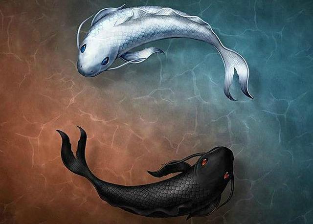 讀經明義丨《禮記》：人不學 不知道